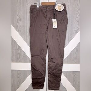200. NWT Curve Appeal Minimalist Jeggings 4/27 Brown